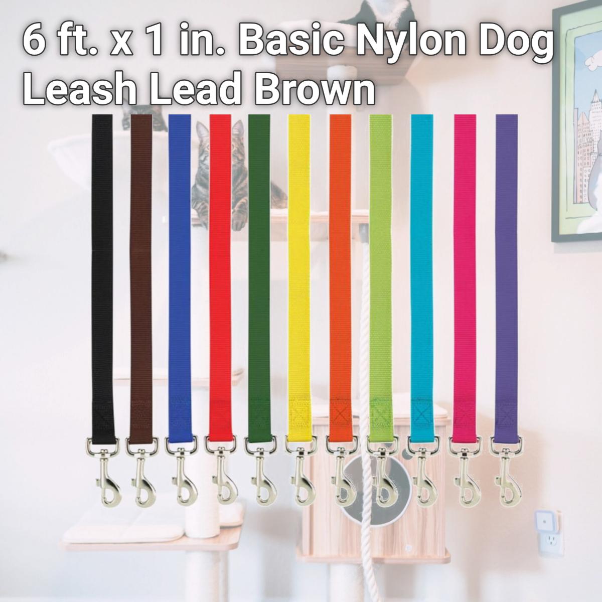 Picture of Casual Canine ZM2392 66 31 6 ft. x 1 in. Basic Nylon Dog Leash Lead, Brown
