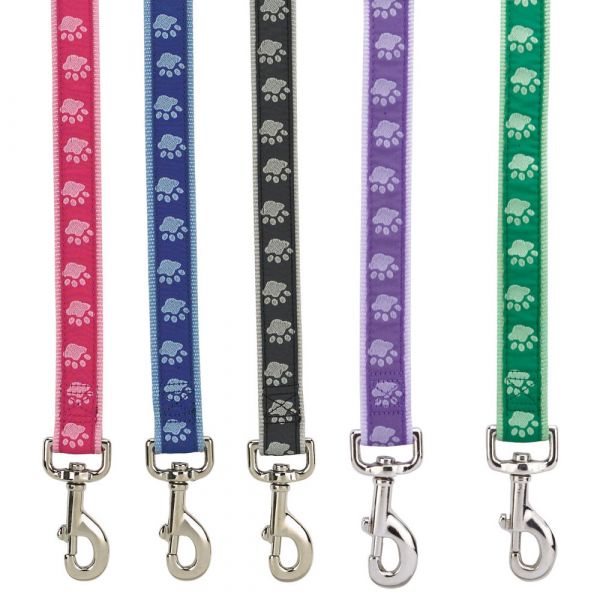 Picture of Casual Canine ZA8861 44 43 4 ft. x 0.62 in. TwoTone Pawprint Lead&#44; Green
