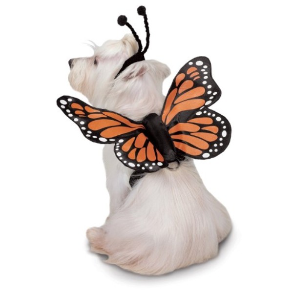 Picture of PetEdge UM6411 12 Zack & Zoey Butterfly Glow Harness Costume for Dogs&#44; Small
