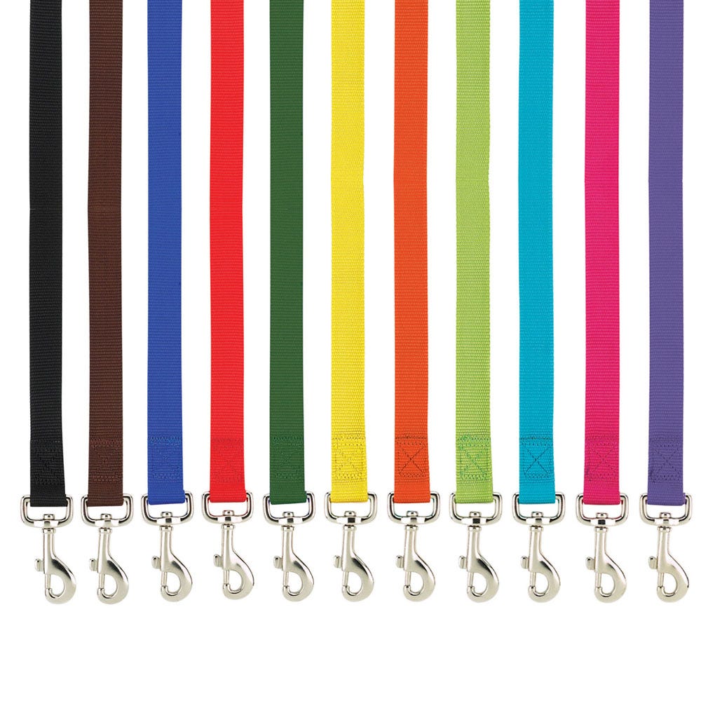 6 ft. x 1 in. Casual Canine Lead Dog Collar, Black