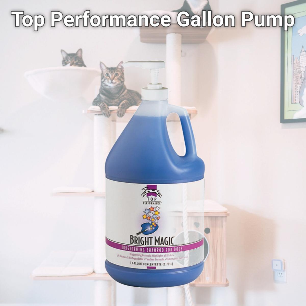 Picture of  Top Performance Gallon Pump