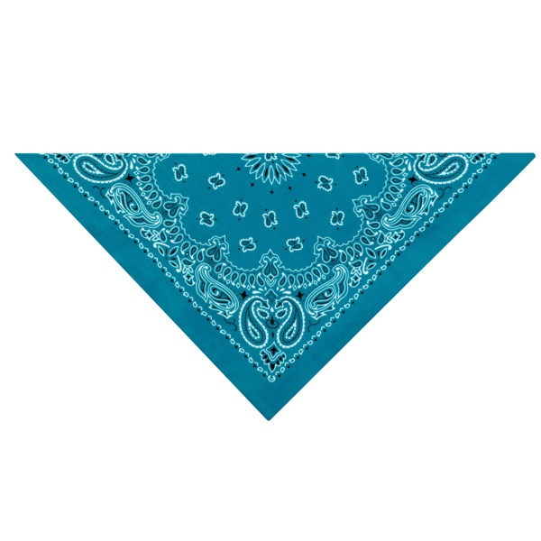 Picture of  Top Performance Paisley Dog Bandanas&#44; Light Blue