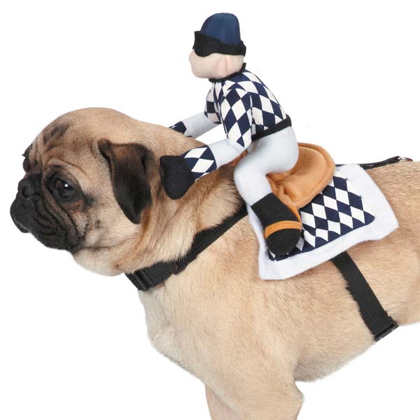 Show Jockey Saddle Costume - Extra Large