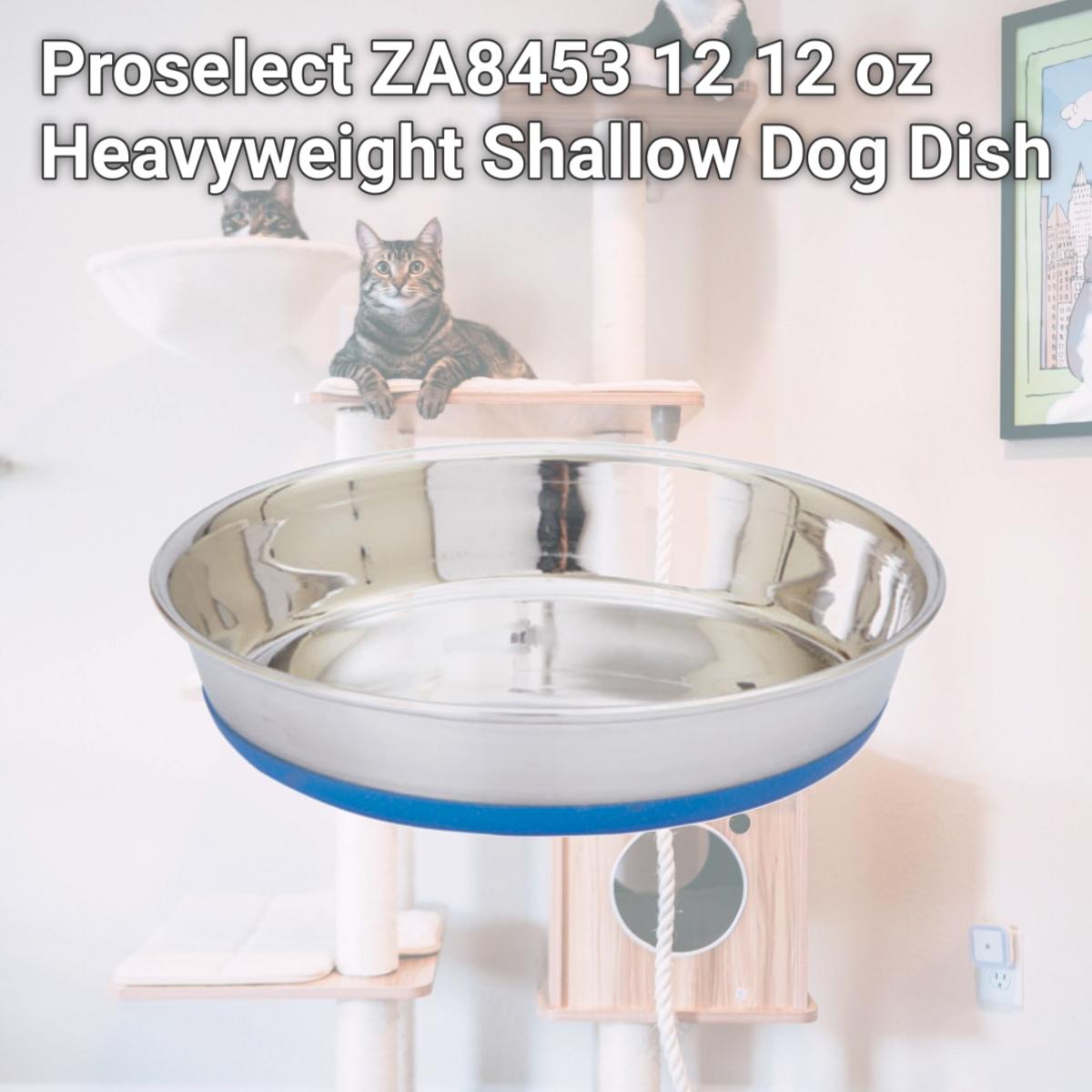 Picture of Proselect ZA8453 12 12 oz Heavyweight Shallow Dog Dish