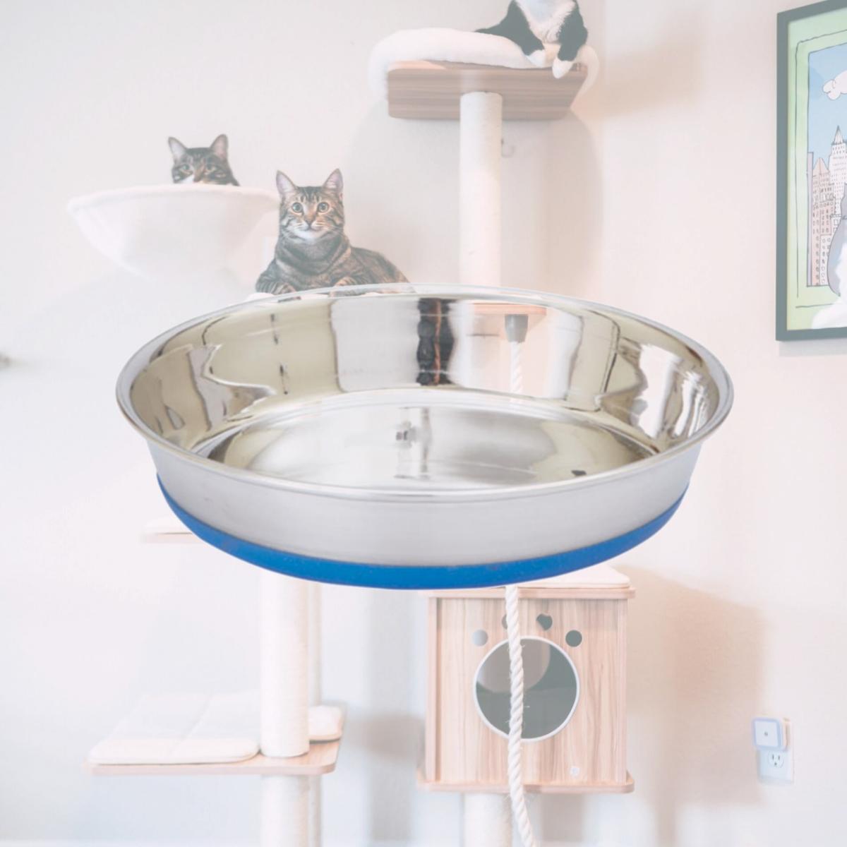 Picture of Proselect ZA8453 16 16 oz Heavyweight Shallow Dog Dish