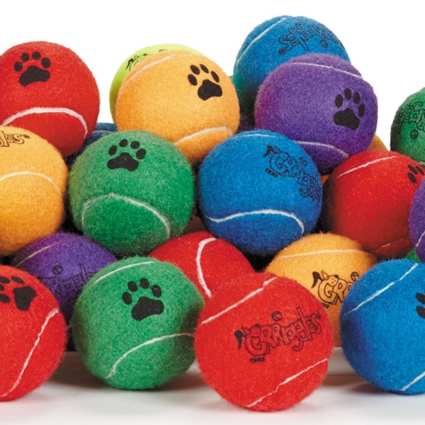 Picture of Griggles US1129 60 2.5 in. Tennis Ball - Pack of 60