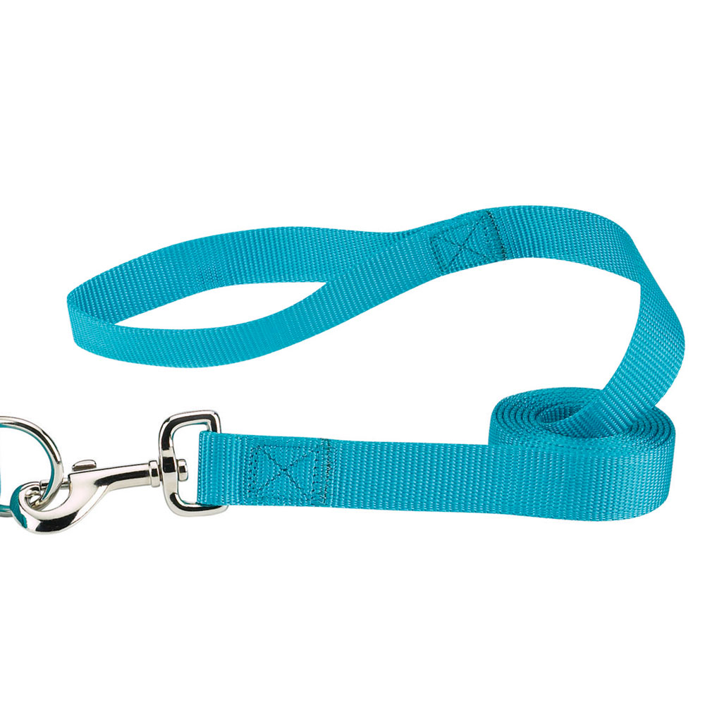 Picture of Casual Canine ZM2392 44 16 4 ft. x 0.62 in. Nylon Dog Leash Lead&#44; Blue