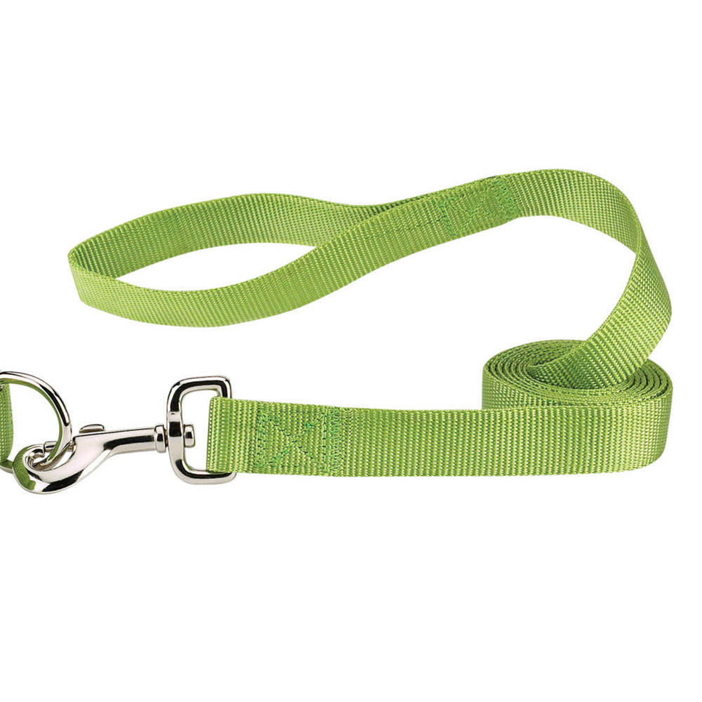 Picture of Casual Canine ZM2392 44 70 4 ft. x 0.62 in. Nylon Dog Leash Lead&#44; Light Green