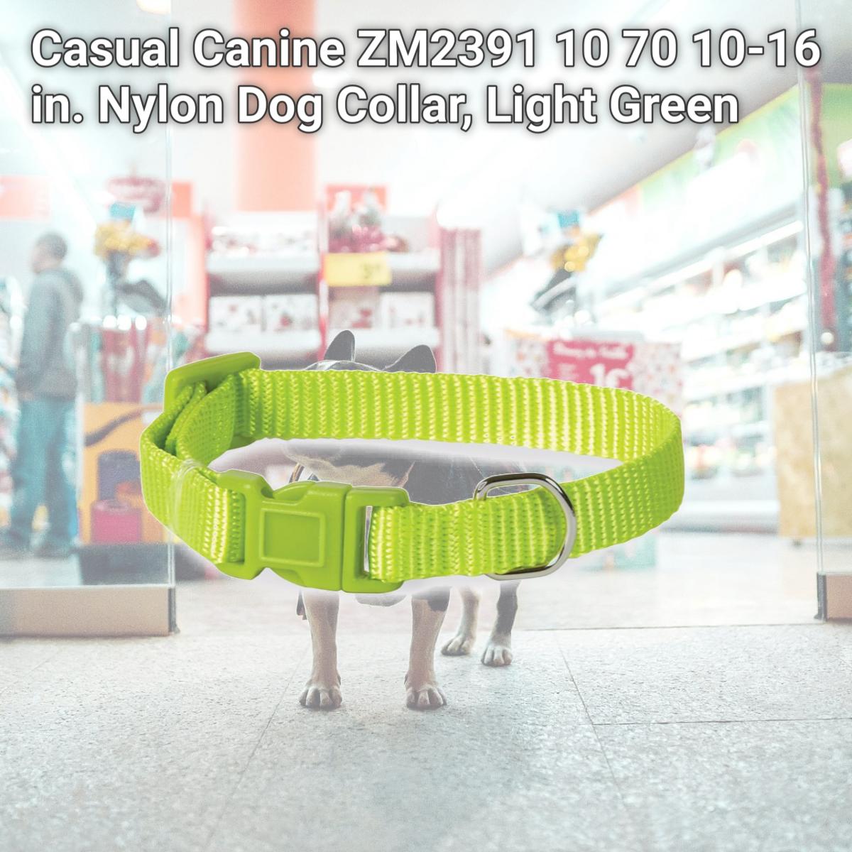 Picture of Casual Canine ZM2391 10 70 10-16 in. Nylon Dog Collar, Light Green