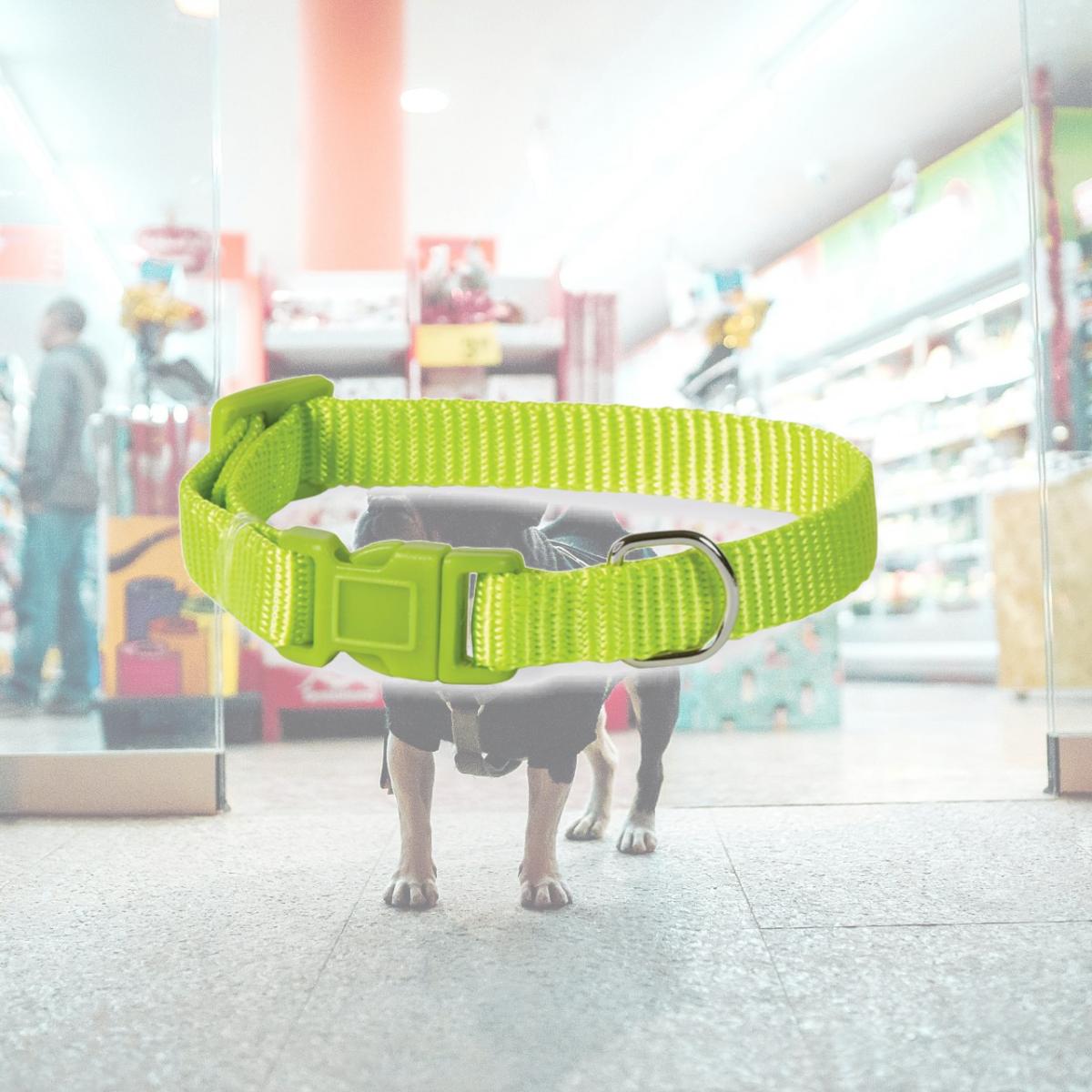 Picture of Casual Canine ZM2391 10 70 10-16 in. Nylon Dog Collar, Light Green