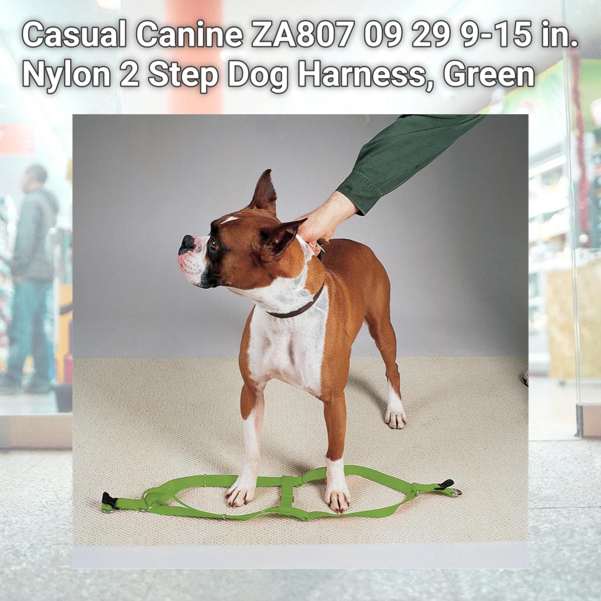 Picture of Casual Canine ZA807 09 29 9-15 in. Nylon 2 Step Dog Harness, Green