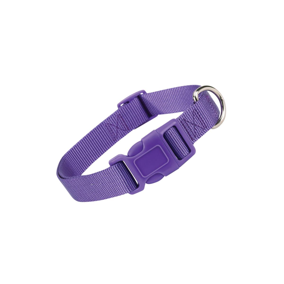 Picture of Casual Canine ZM2391 10 94 10-16 in. Nylon Dog Collar, Purple