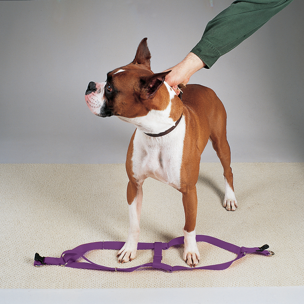 Picture of Casual Canine ZA807 09 90 9-15 in. Nylon 2 Step Dog Harness, Purple