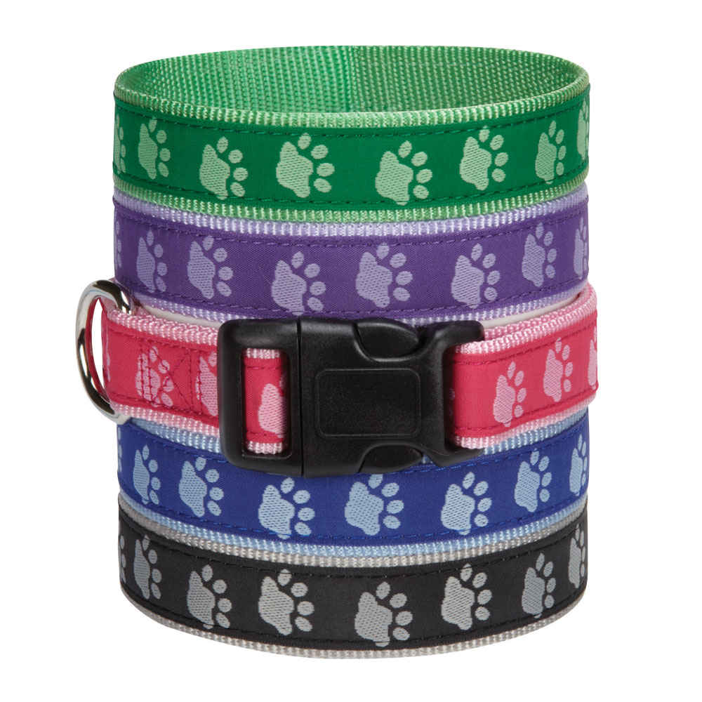 Picture of Casual Canine ZA8871 10 17 10-16 in. Two Tone Pawprint Dog Collar&#44; Black