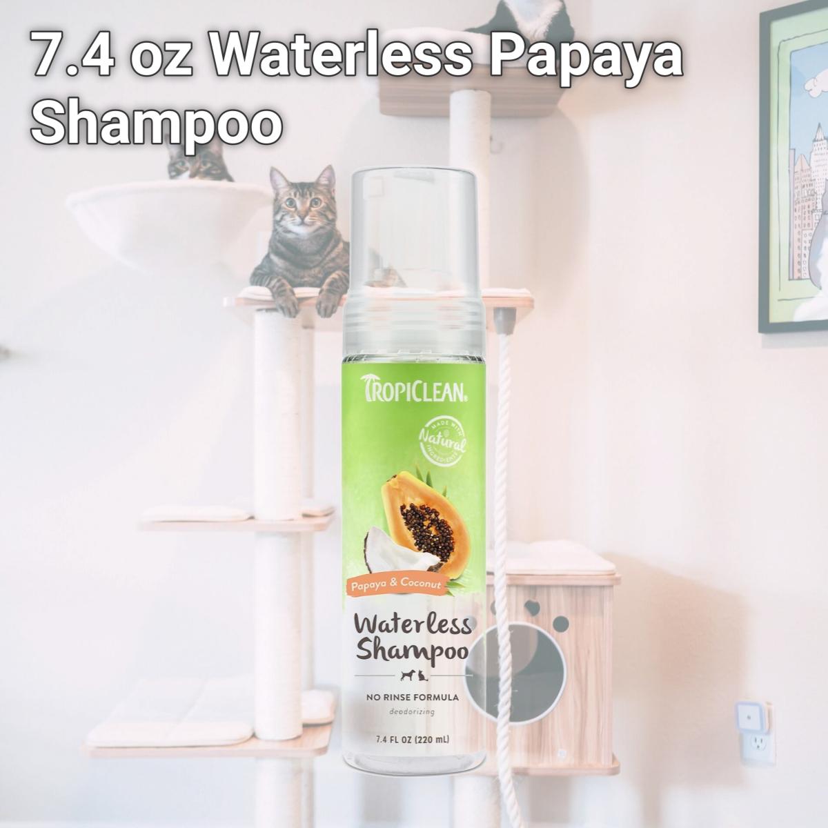 Picture of TCD 90086908 7.4 oz Waterless Papaya Shampoo