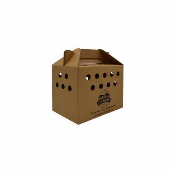 Picture of Oxbow 73296696 Gotcha Box for Small Animals&#44; Large