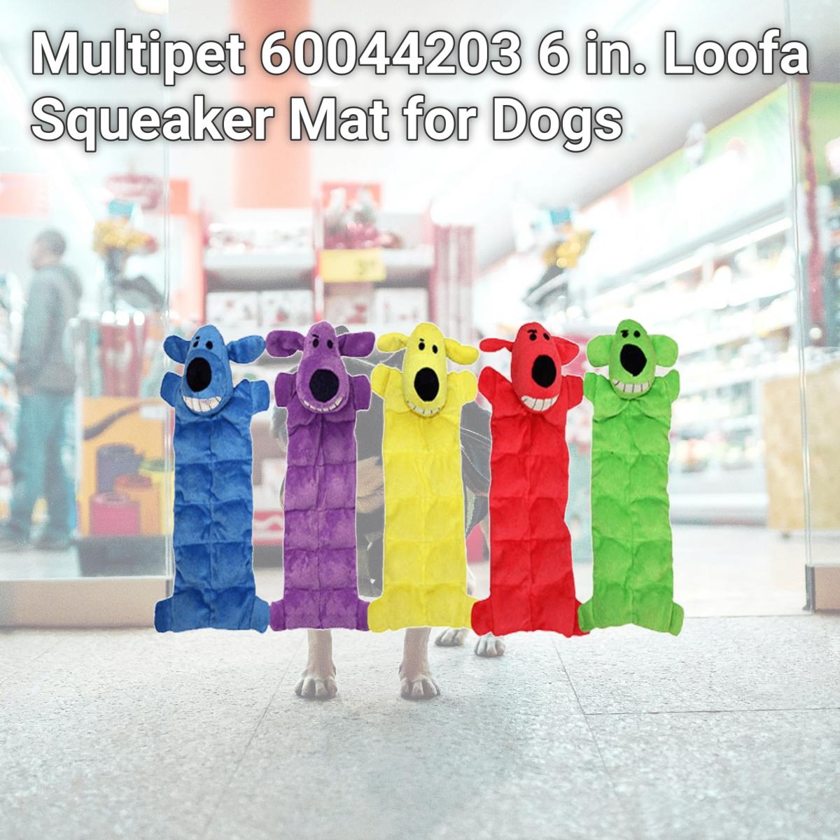 Picture of Multipet 60044203 6 in. Loofa Squeaker Mat for Dogs