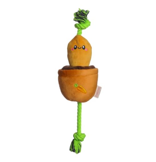 Picture of Territory 88418004 15 in. Carrot Treat-&-Tug Dog Toy
