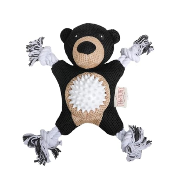 Picture of Territory 88418058 9 in. 2-in-1 Black Bear Dog Toy