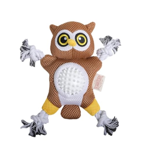 Picture of Territory 88418059 10 in. 2-in-1 Owl Dog Toy