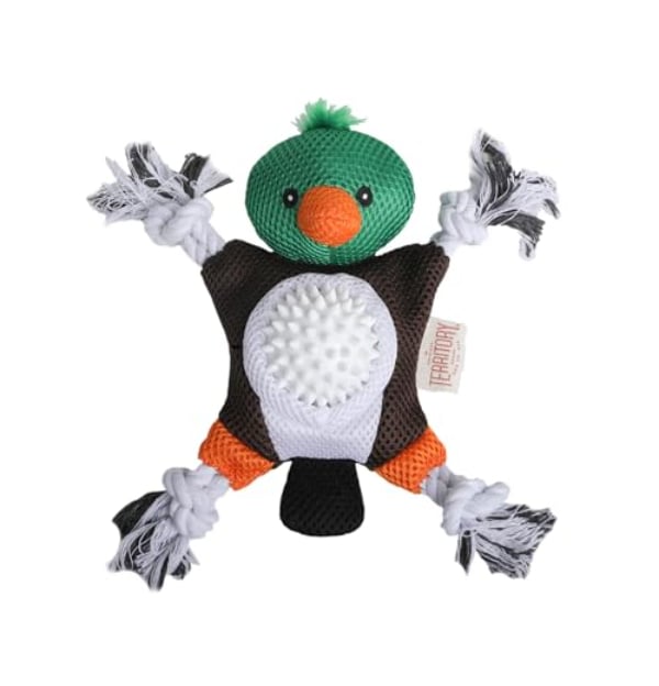 Picture of Territory 88418060 9.5 in. 2-in-1 Mallard Duck Dog Toy