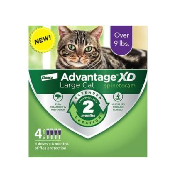Picture of Elanco 20456751 Advantage XD 4-Topical Doses 2-Months of Protection per Dose Flea Prevention & Treatment for Large Cats Over 9 lbs - Pack of 4