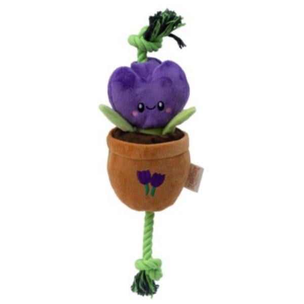 Picture of Territory 88418192 16 in. Tug & Treat Flower Dog Toy&#44; Purple