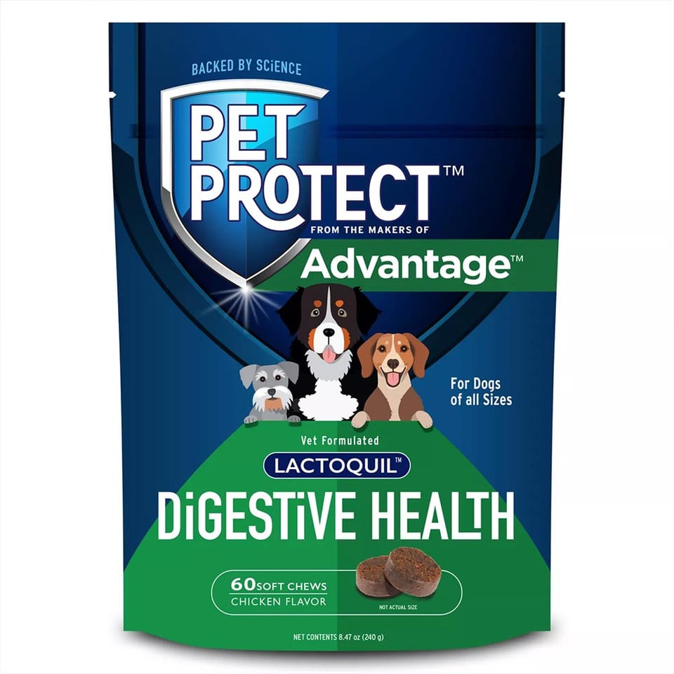 Picture of Elanco 20400152 Pet Protect Lactoquil Digestive Health for Dogs - Chicken