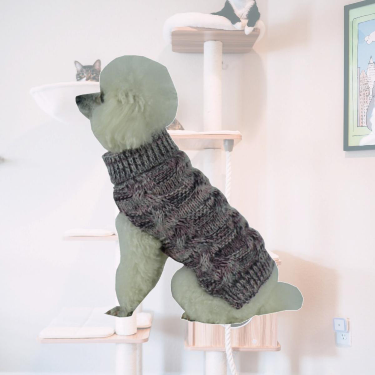 Picture of Pet Life SW16GYMD Royal Bark Heavy Cable Knitted Designer Fashion Dog Sweater- Medium