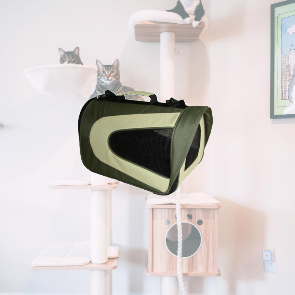 Picture of Pet Life B7GNLG Green Folding Zippered Sporty Mesh Carrier -LG