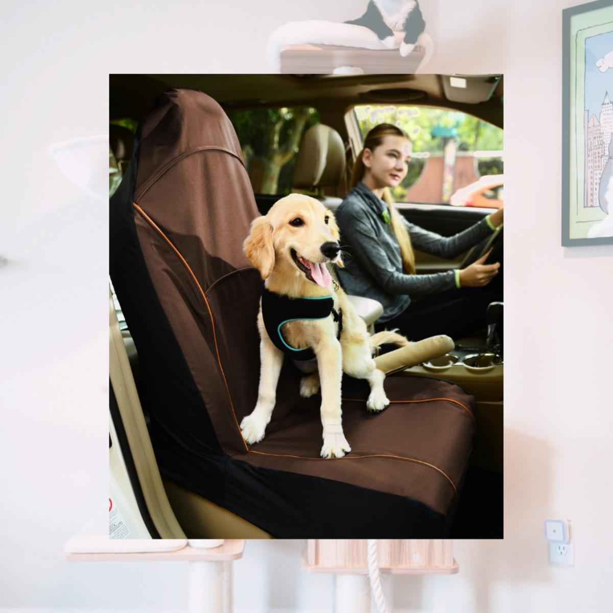 Picture of Pet Life CRT1BR Open Road Mess Free Single Seated Safety Car Seat Cover Protector, Brown - One Size