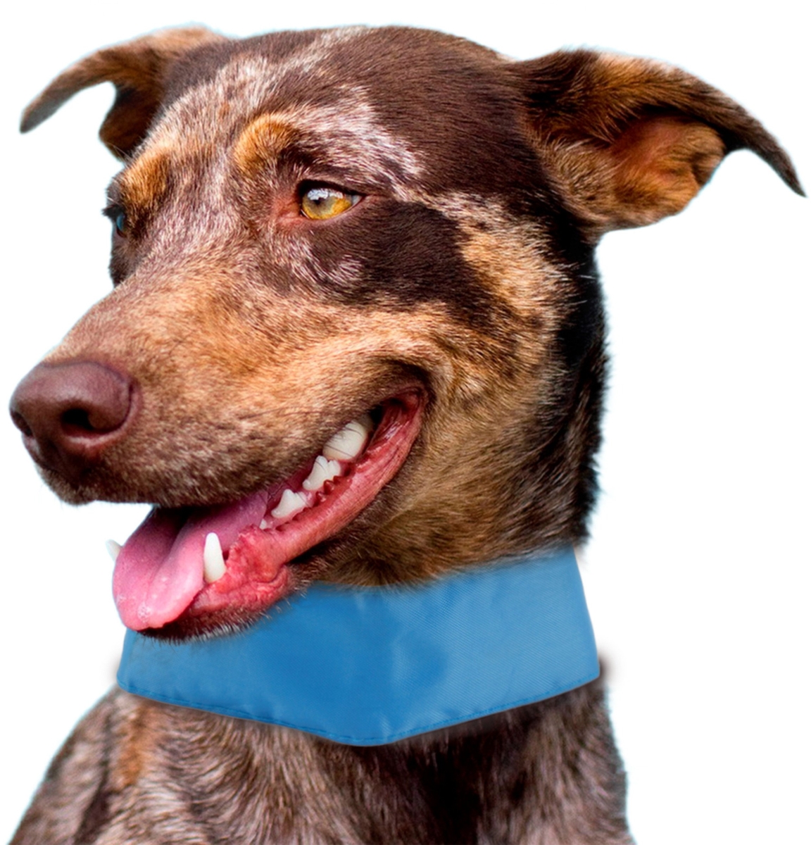 Picture of Pet Life PTCL1BL Summer Cooling Dog Neck Wrap, Blue - One Size
