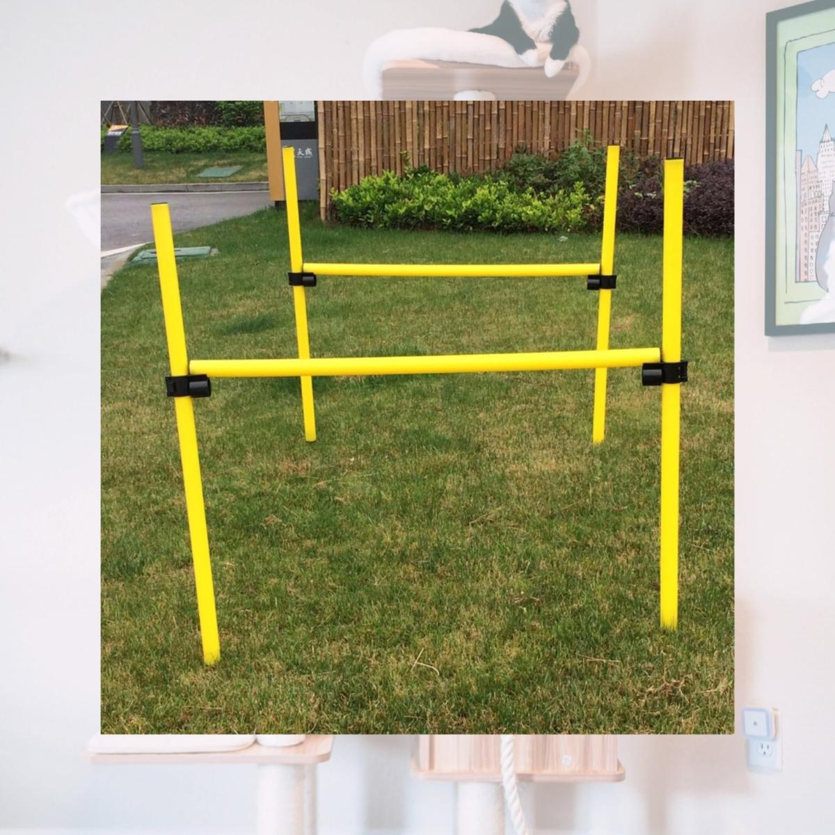 Picture of Pet Life TR3DG Dog Trainer Kit, Yellow - One Size