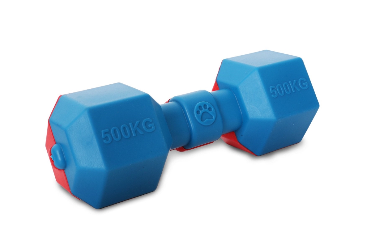 Dumbbell Durable Water Floating Chew & Fetch Dog Toy, Red & Blue - One Size