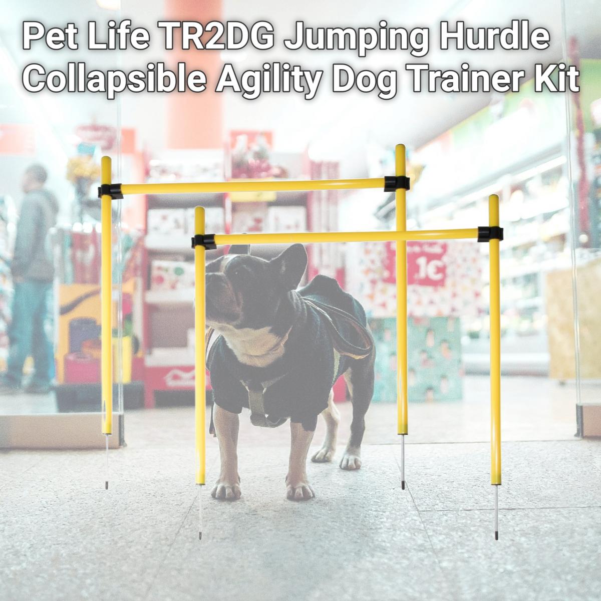 Picture of Pet Life TR2DG Jumping Hurdle Collapsible Agility Dog Trainer Kit