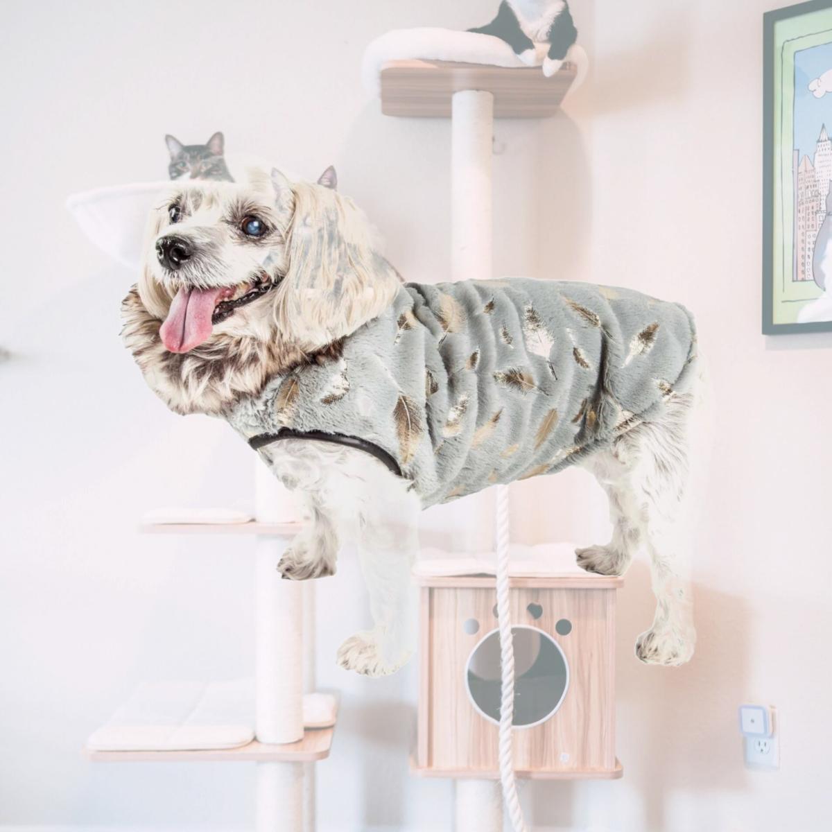 Picture of Pet Life 51GYMD Luxe Gold-Wagger Gold-Leaf Designer Fur Dog Jacket Coat - Grey & Gold&#44; Medium