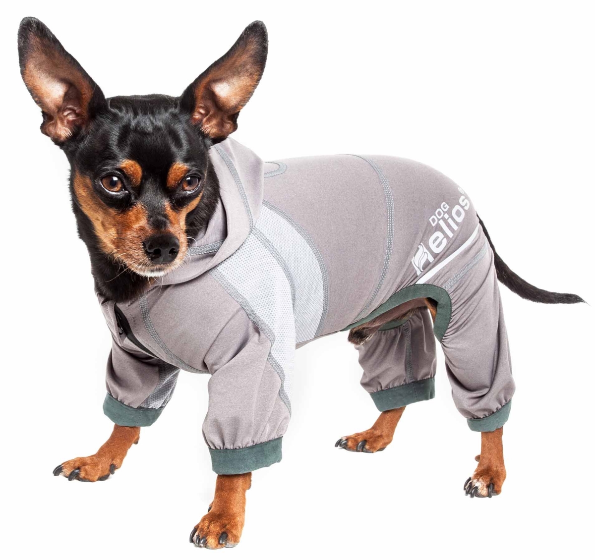Picture of Dog Helios YGHL7GYSM Namastail 4-Way Stretch Breathable Full Bodied Performance Yoga Dog Hoodie Tracksuit - Grey&#44; Small