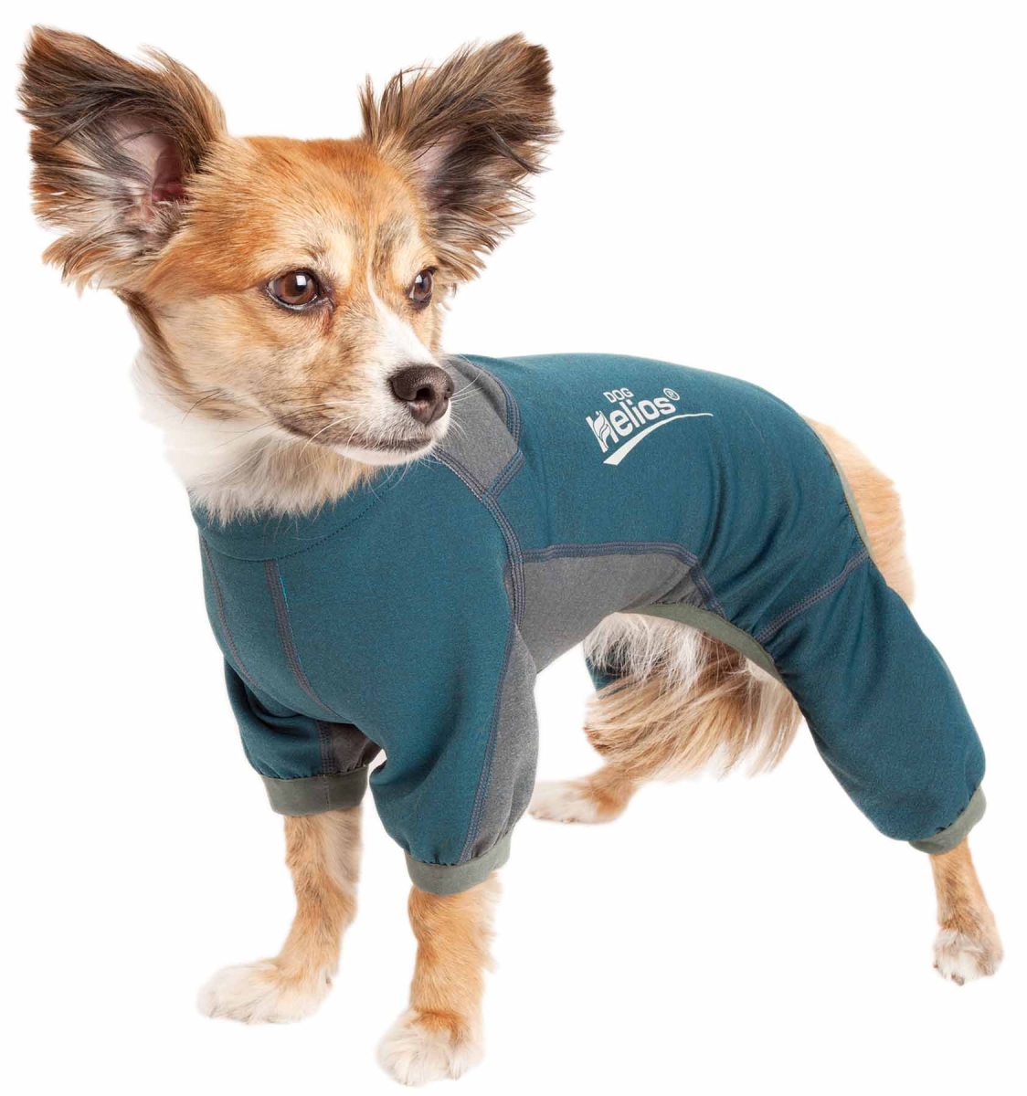 Picture of Dog Helios YGHL8BLXS Rufflex 4-Way-Stretch Breathable Full Bodied Performance Dog Warmup Track Suit - Blue & Grey&#44; Extra Small
