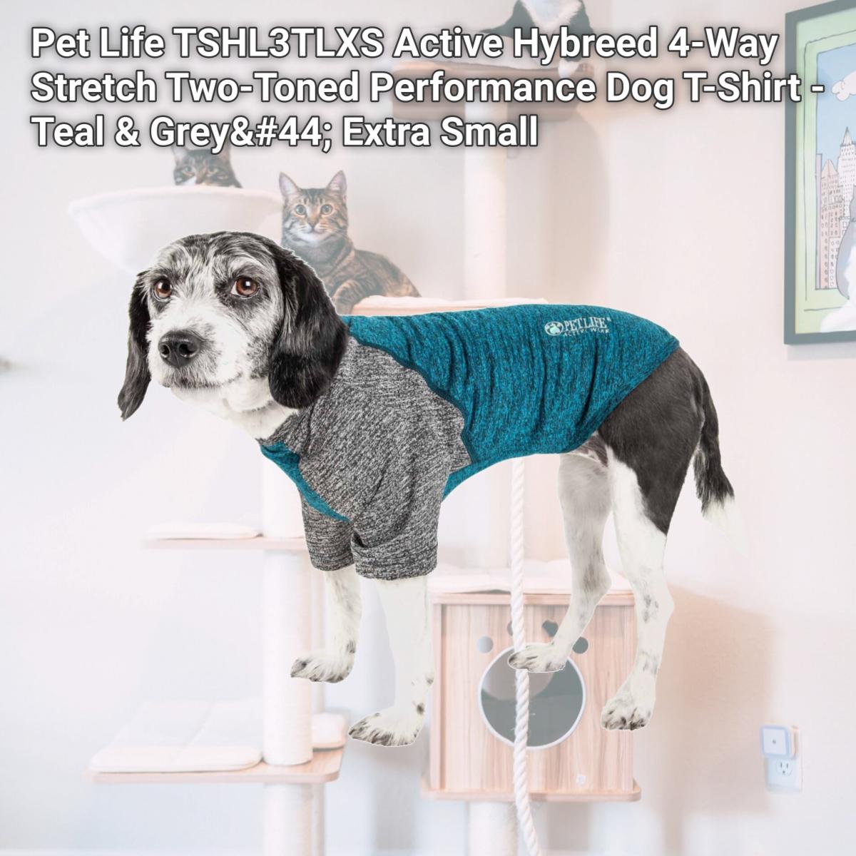 Picture of Pet Life TSHL3TLXS Active Hybreed 4-Way Stretch Two-Toned Performance Dog T-Shirt - Teal & Grey&#44; Extra Small
