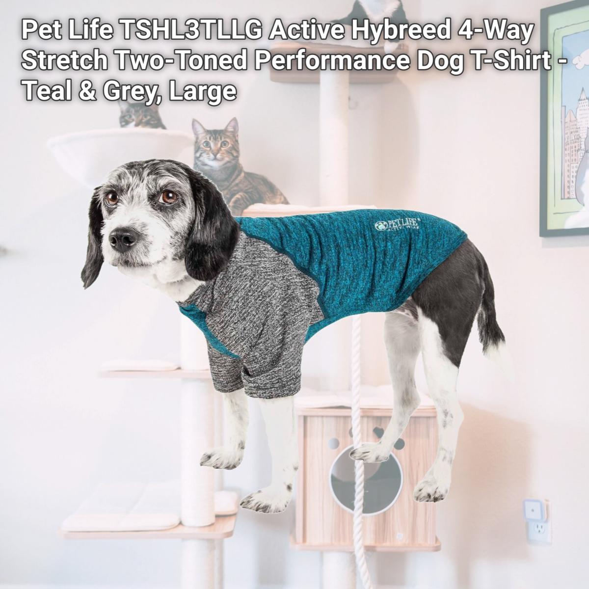 Picture of Pet Life TSHL3TLLG Active Hybreed 4-Way Stretch Two-Toned Performance Dog T-Shirt - Teal & Grey&#44; Large