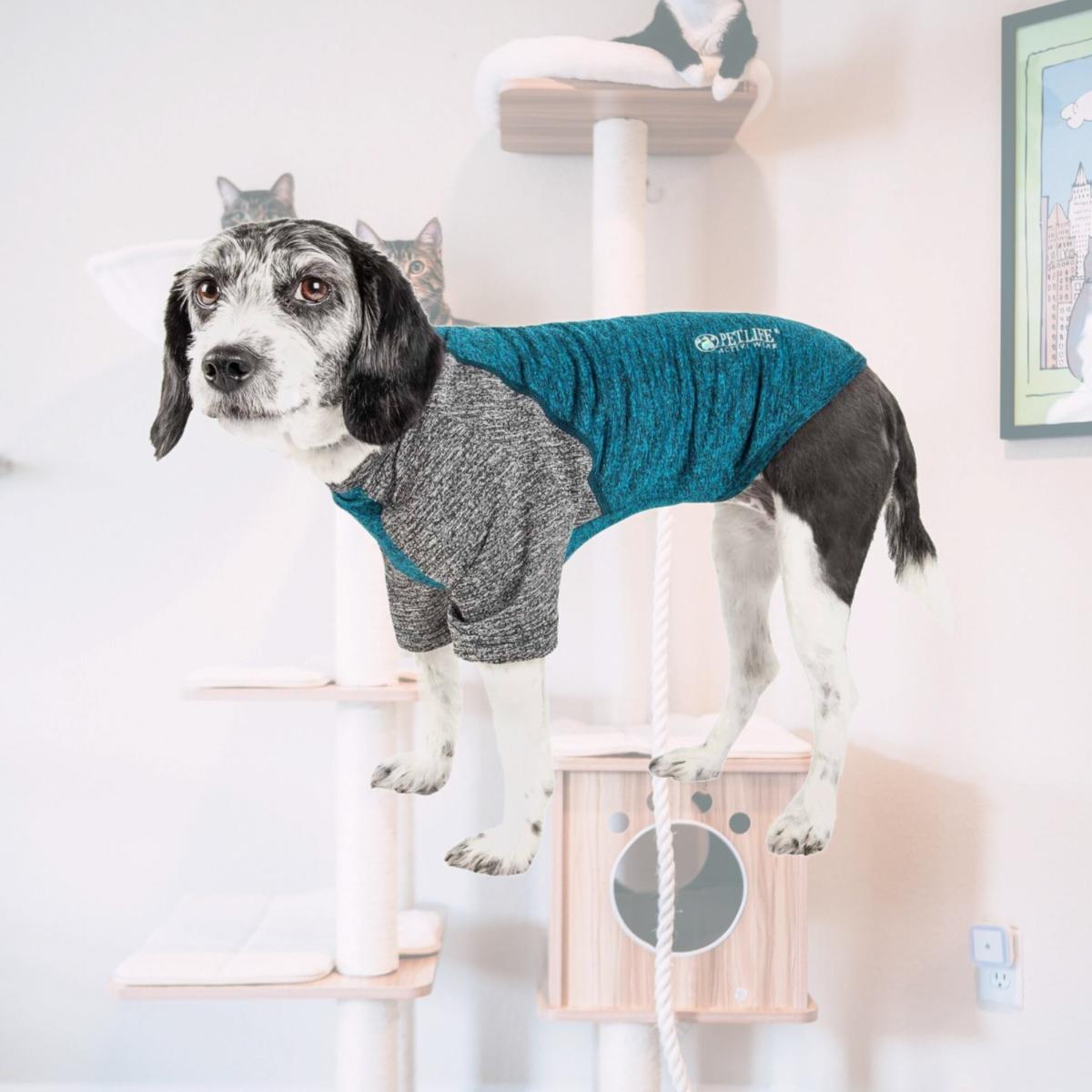Picture of Pet Life TSHL3TLLG Active Hybreed 4-Way Stretch Two-Toned Performance Dog T-Shirt - Teal & Grey&#44; Large