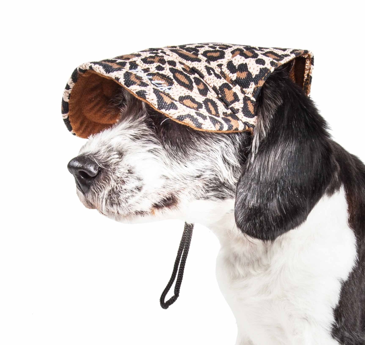 Picture of Pet Life HT4CHMD Cheetah Bonita Cheetah Patterned UV Protectant Adjustable Fashion Dog Hat - Cheetah Pattern, Medium