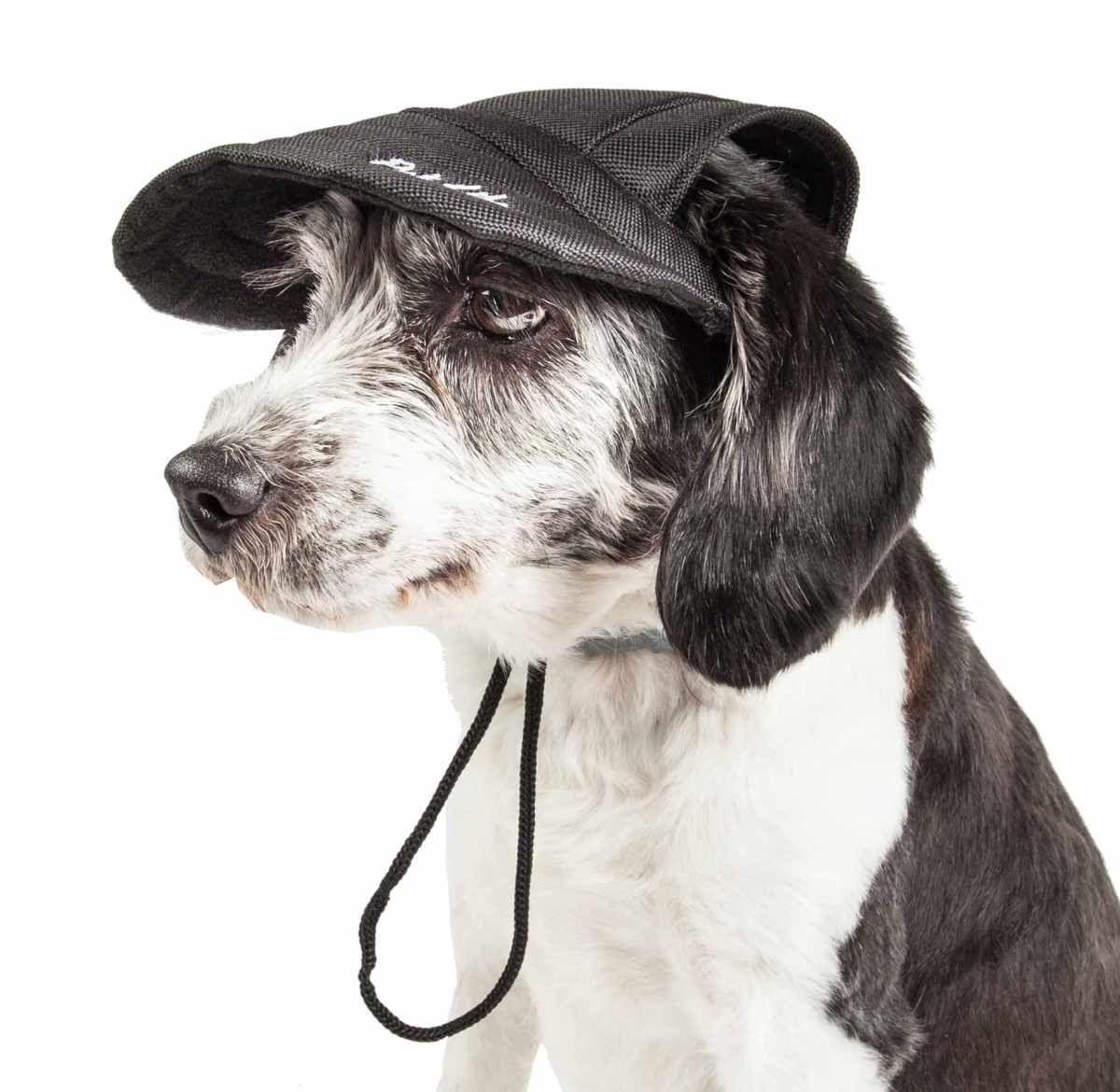 Picture of Pet Life HT6BKMD Cap-Tivating UV Protectant Adjustable Fashion Dog Hat - Jet Black, Medium