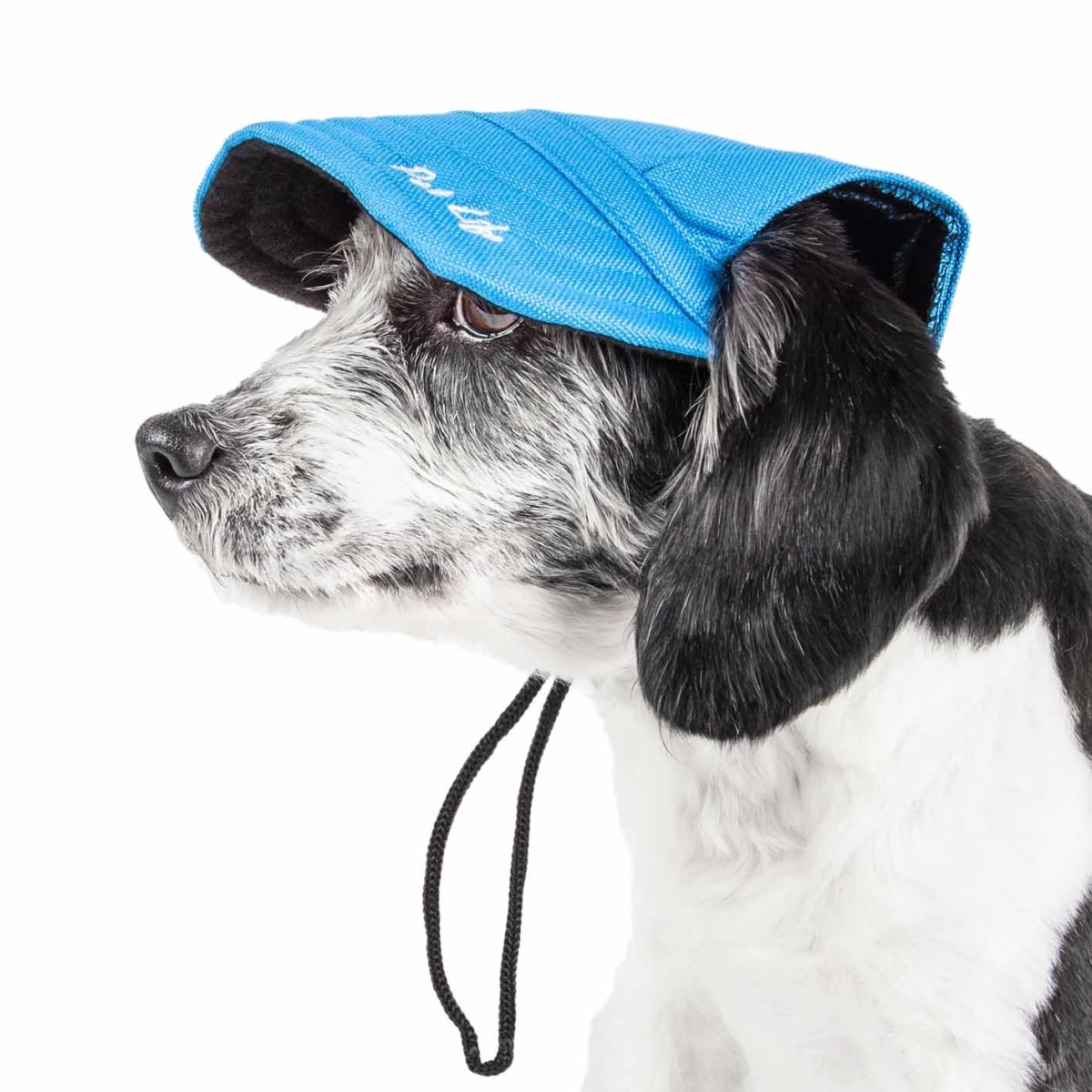 Picture of Pet Life HT6BLMD Cap-Tivating UV Protectant Adjustable Fashion Dog Hat - Blue, Medium