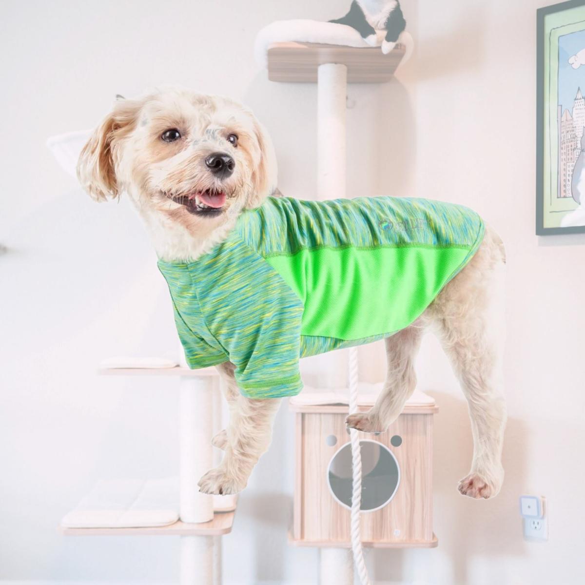Picture of Pet Life TSHL5GNMD Active Warf Speed Heathered Ultra-Stretch Sporty Performance Dog T-Shirt&#44; Green Heather & Light Green - Medium