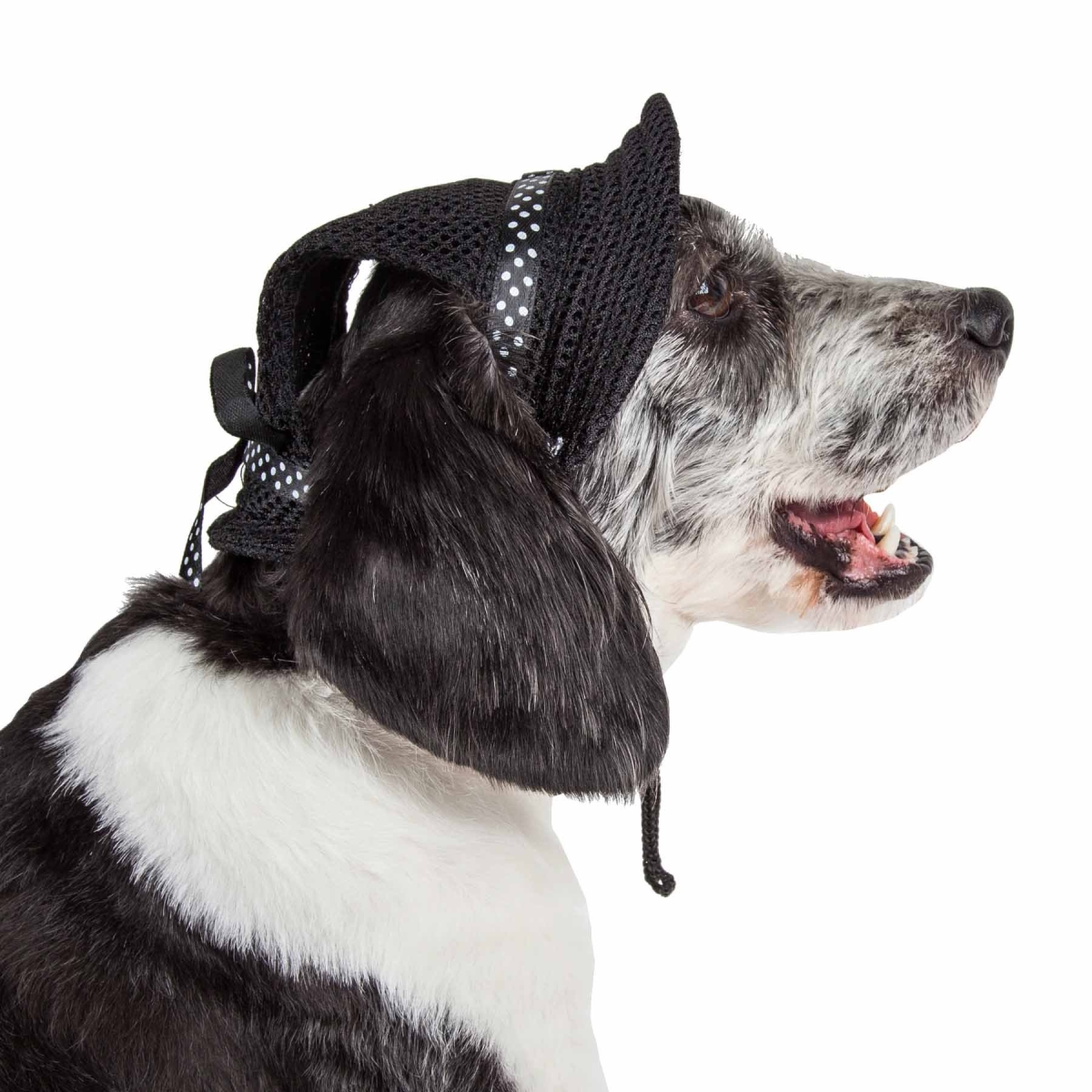 Picture of Pet Life HT10BKMD Sea Spot Sun UV Protectant Adjustable Fashion Mesh Brimmed Dog Hat Cap, Black - Medium