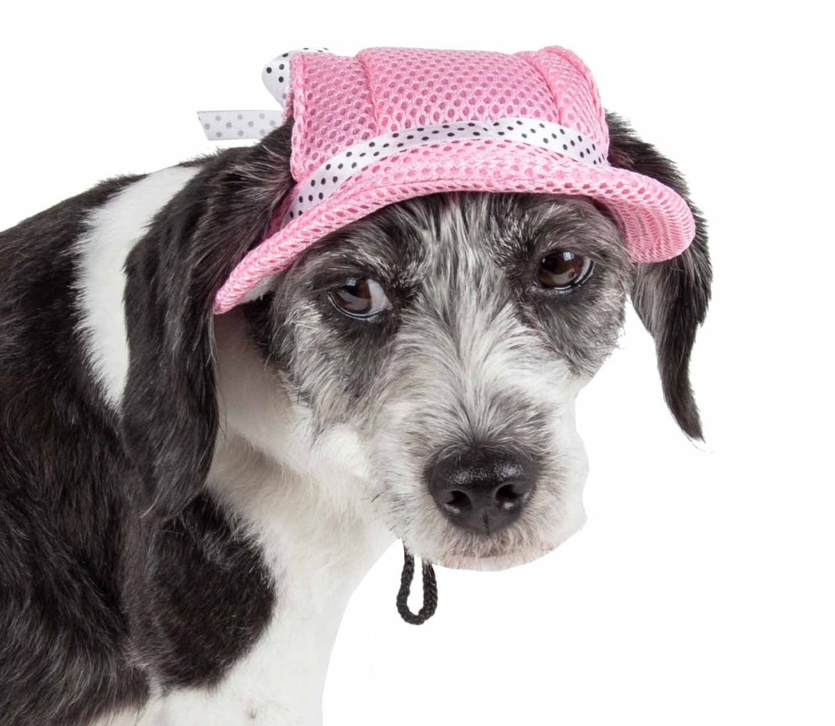 Picture of Pet Life HT10PKMD Sea Spot Sun UV Protectant Adjustable Fashion Mesh Brimmed Dog Hat Cap, Pink - Medium