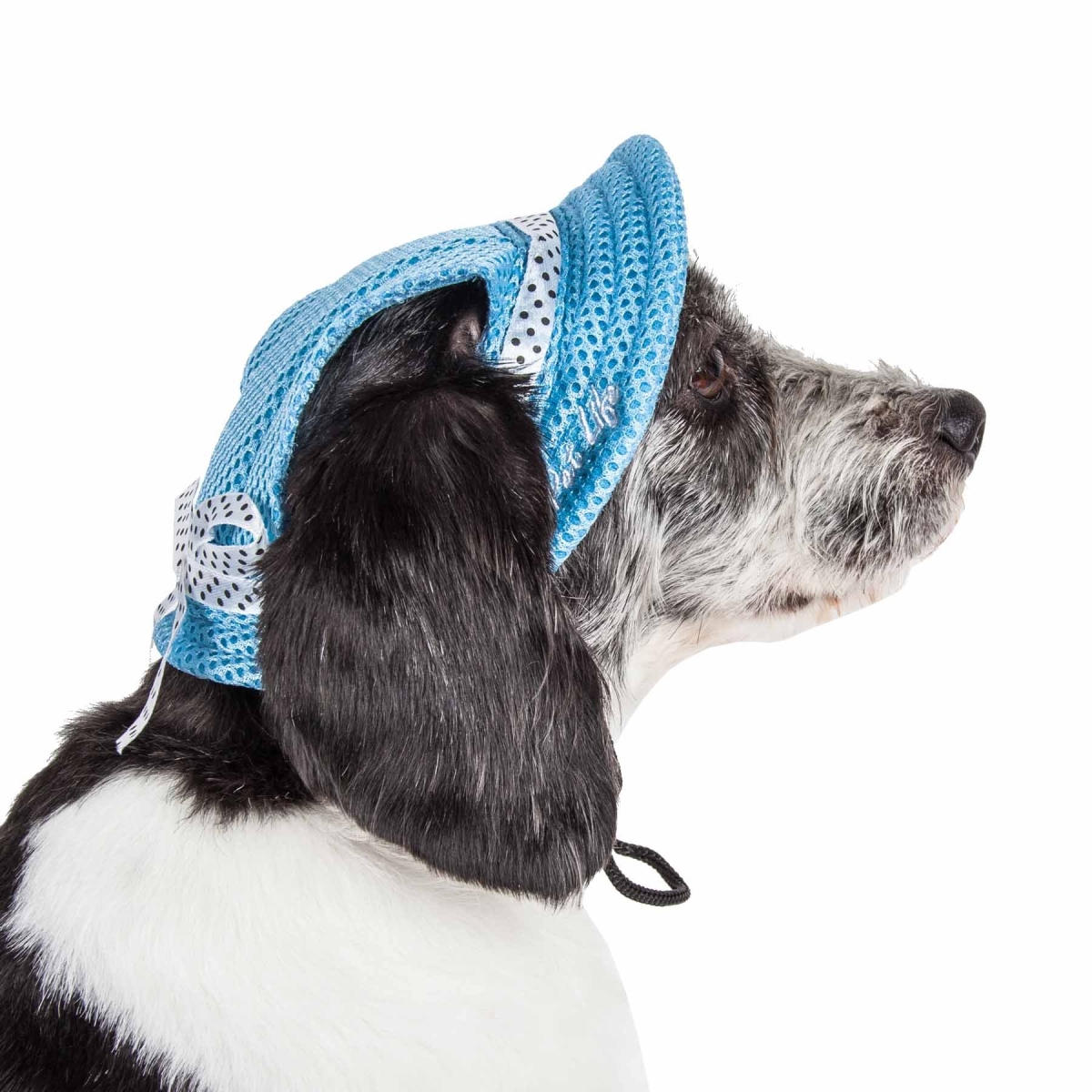 Picture of Pet Life HT10BLLG Sea Spot Sun UV Protectant Adjustable Fashion Mesh Brimmed Dog Hat Cap, Blue - Large