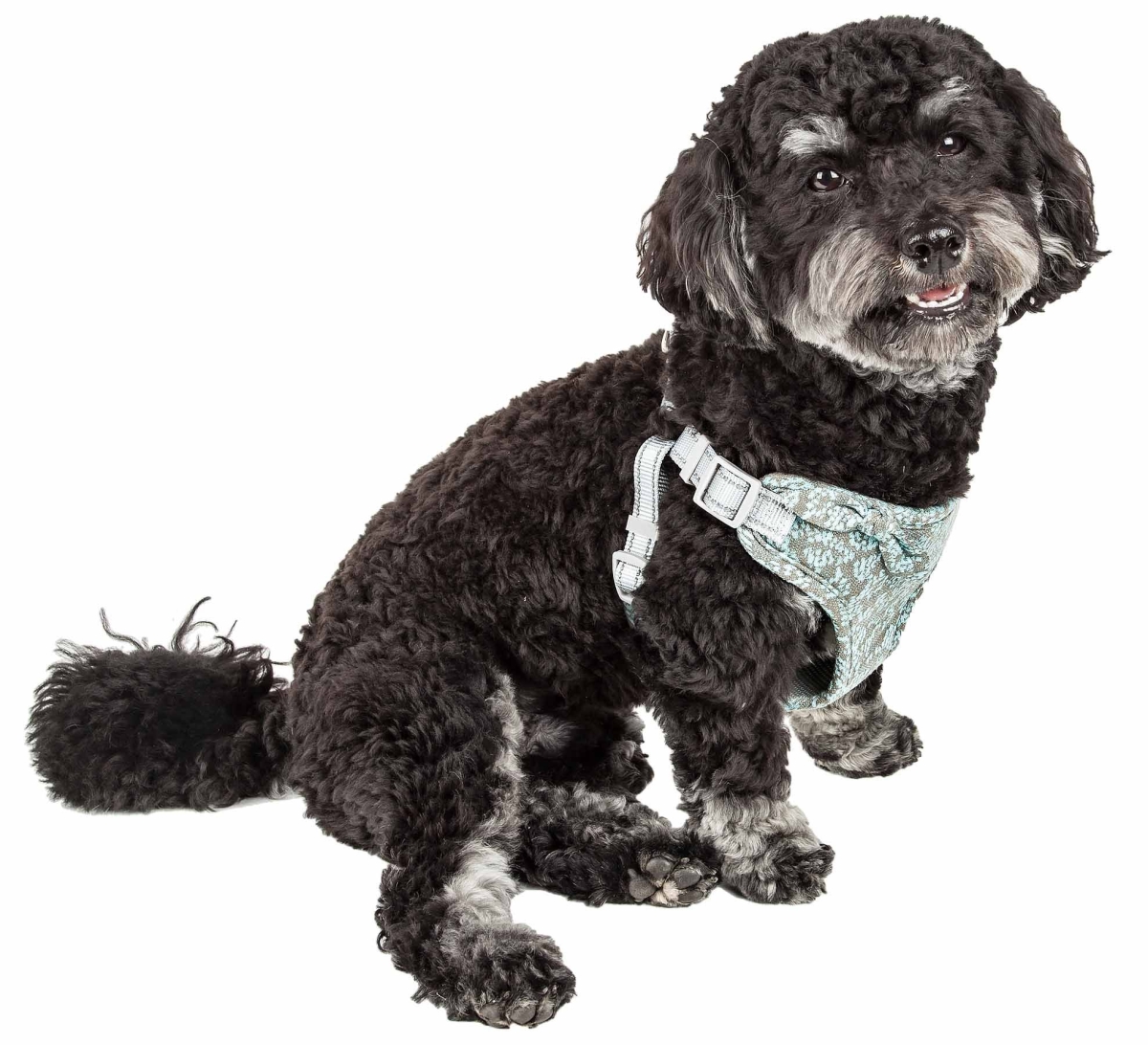 Picture of Pet Life HA59BLXS Fidomite Mesh Reversible & Breathable Adjustable Dog Harness with Designer Bowtie&#44; Blue & Grey - Extra Small