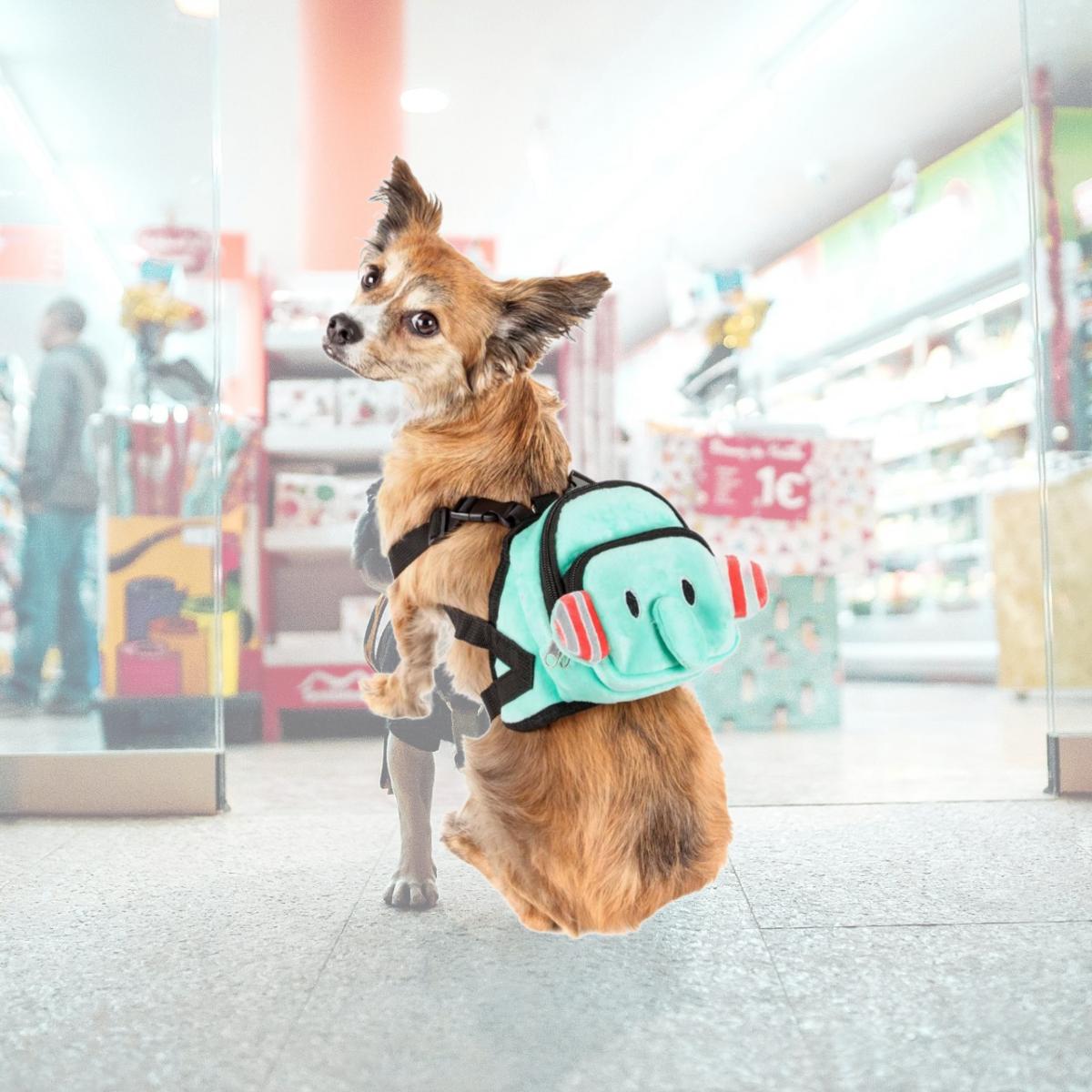 Picture of Pet Life BP5BLSM Dumbone Dual-Pocketed Compartmental Animated Dog Harness Backpack, Blue - Small